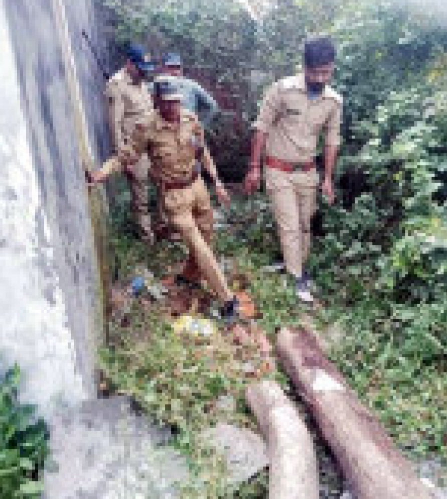वन विभाग की टीम ने बरामद किये सागौन के गिल्टे