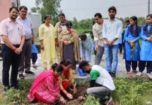 विद्यालय परिसर में किया सामूहिक वृक्षारोपण