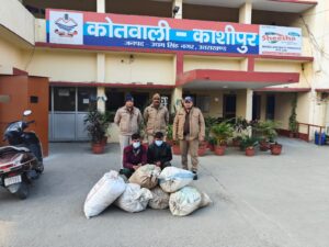 पिकअप से 58.87 किलो अवैध गांजा बरामद, दो गिरफ्तार  