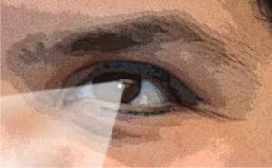 अलका की आंखों से दो नेत्रहीनों को मिलेगी रोशनी