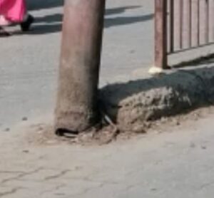 विद्युत पोल गलने से बड़ा हादसे की आशंका