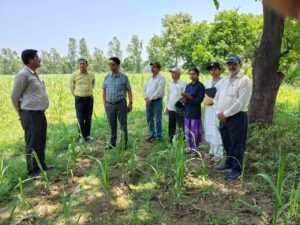 आयुक्त गन्ना विकास एवं चीनी उद्योग ने किया गन्ने का सर्वेक्षण