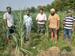 ज्येष्ठ गन्ना विकास निरीक्षक ने किया गन्ना सर्वेक्षण कार्यों का निरीक्षण        