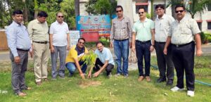 नवचेतना सांस्कृतिक मंच ने किया पौधारोपण