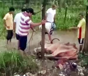 दो दिन से नाले में फंसी गाय का किया रेस्क्यू